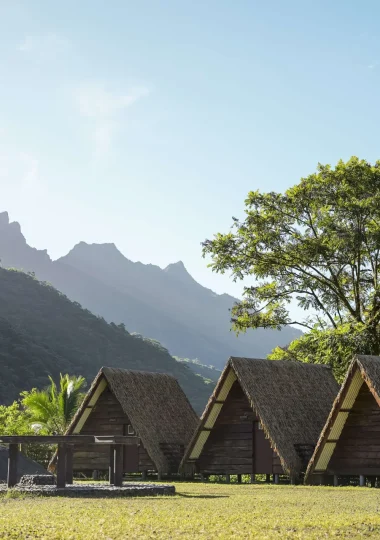 p2-tahiti-dsc08067-a-rai-mao-4500x3000-1-380x540-f50_50