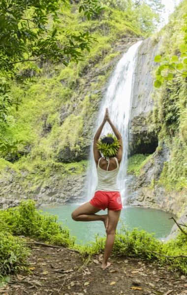 p2-tahiti-tahiti-tourisme-tahiti-glb-4-178-a-gregoire-le-bacon-2172x1448-1-380x600-f50_50