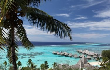 sof-moz-thumb-1-375x240-f50_50